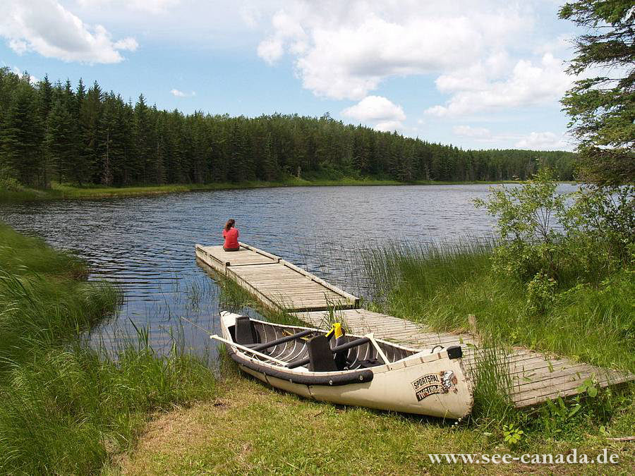 see-steg2-canada