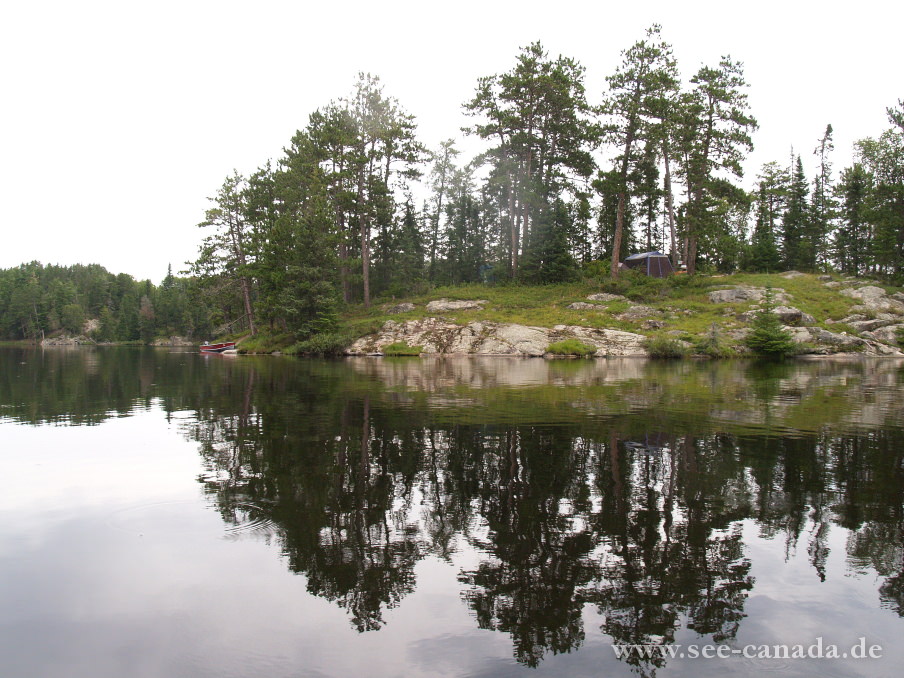 see3-canada