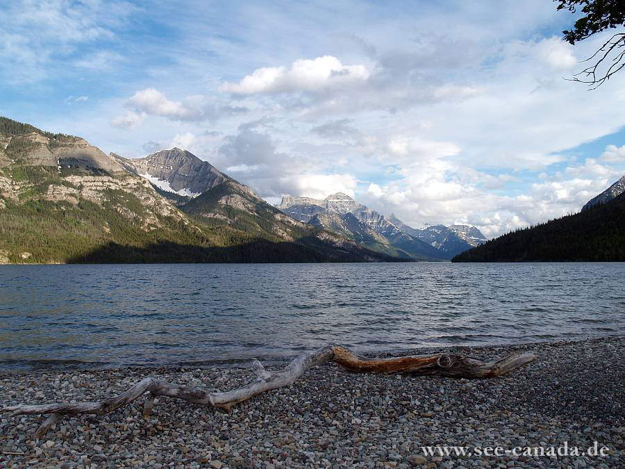 see4-canada